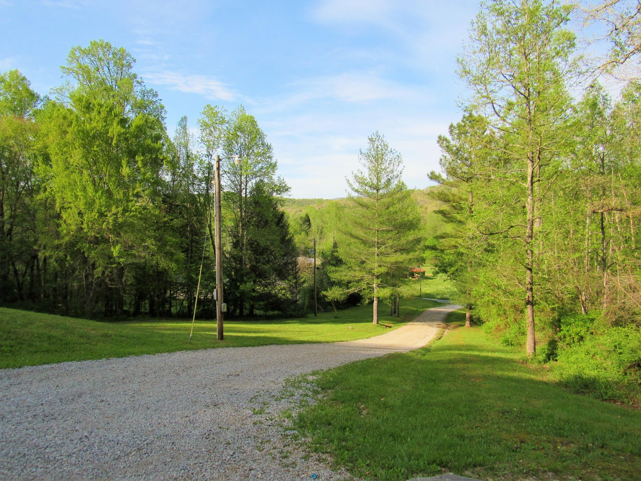 155 Fritts Road Lancing, TN 37770 - Photo 5 of 30 a view of a park with large trees