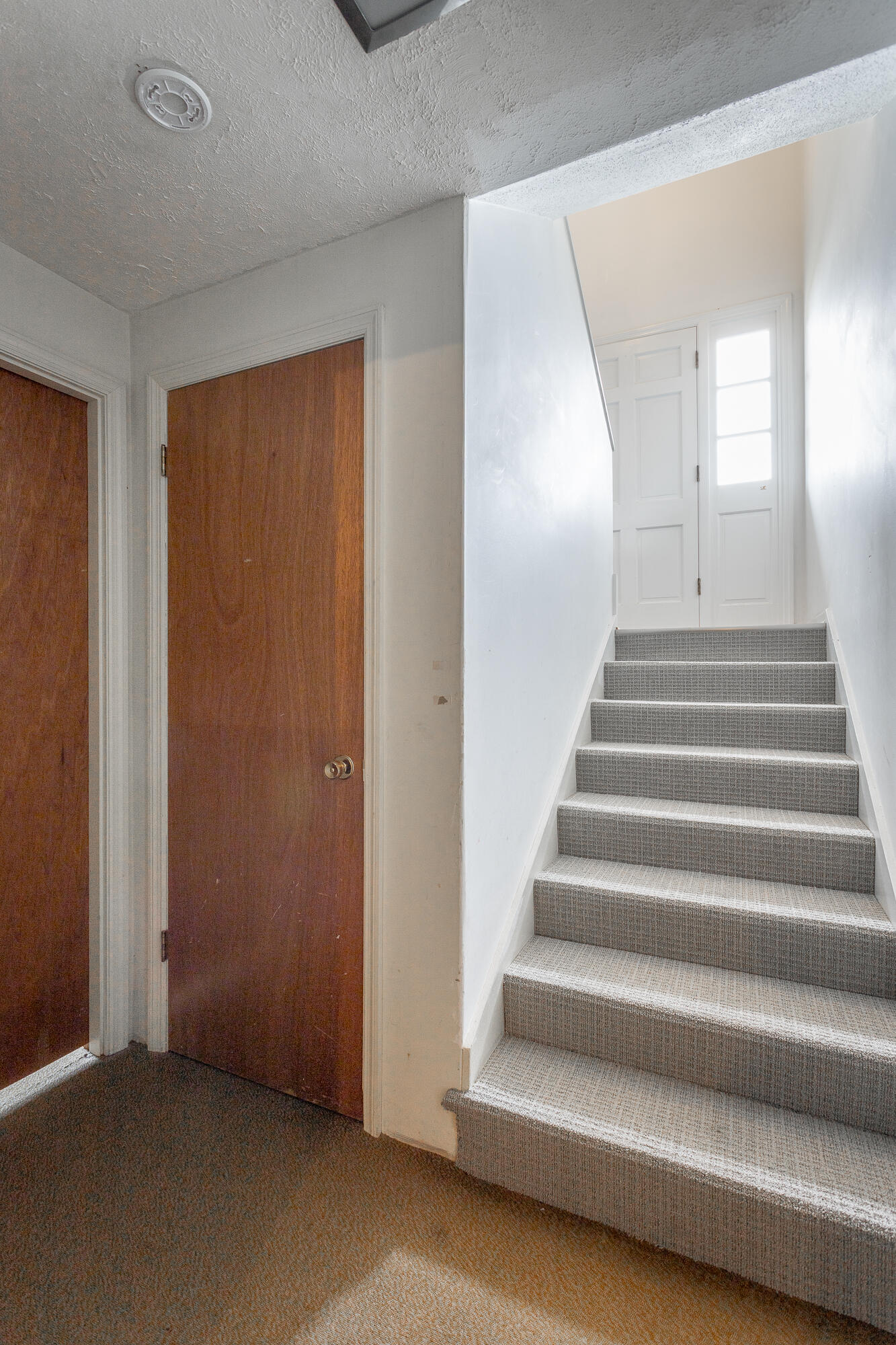 51 Poppy Lane Ringgold, GA 30736 - Photo 51 of 92 51 Poppy Lane HD-38