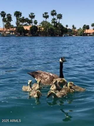 $1,145,000 | 1146 West Sea Fog Drive, Gilbert, AZ 85233