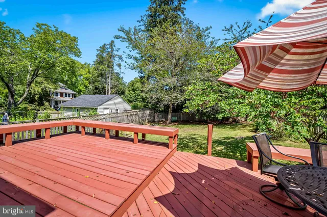 a view of a garden with plants