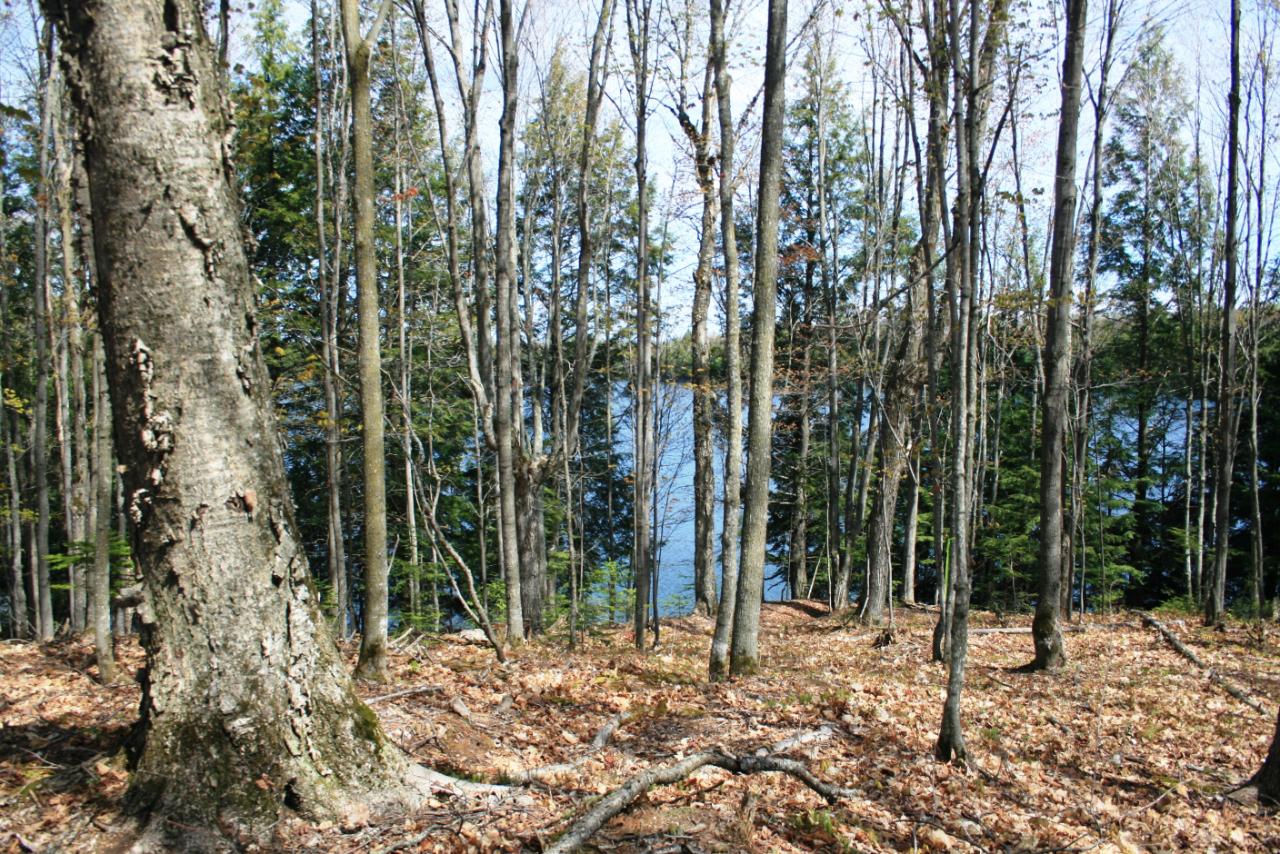 Tbd Hewitt Road, Unit 30 Mercer, WI 54547 - Photo 18 of 21 Gallery Image 18