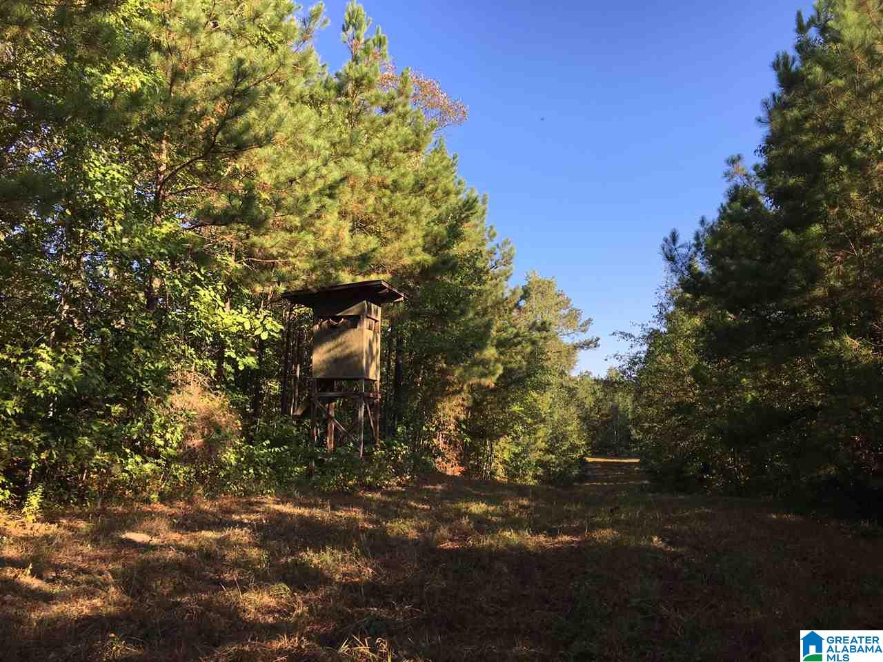 220 Gant Road, Unit 106 AC Pell City, AL 35128 - Photo 23 of 23
