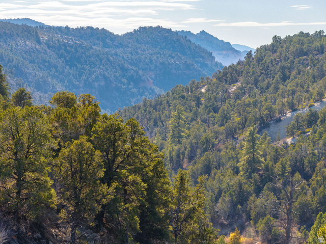 6 South N Frk Road Orderville, UT 84758 - Photo 17 of 68 View of mountain background with a heavily wooded area