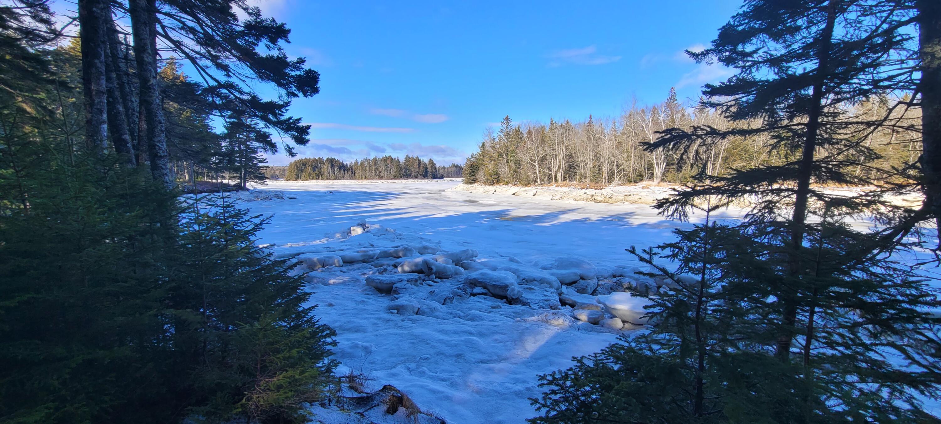 45 Missy Way Steuben, ME 04680 - Photo 5 of 64 20260108_112723