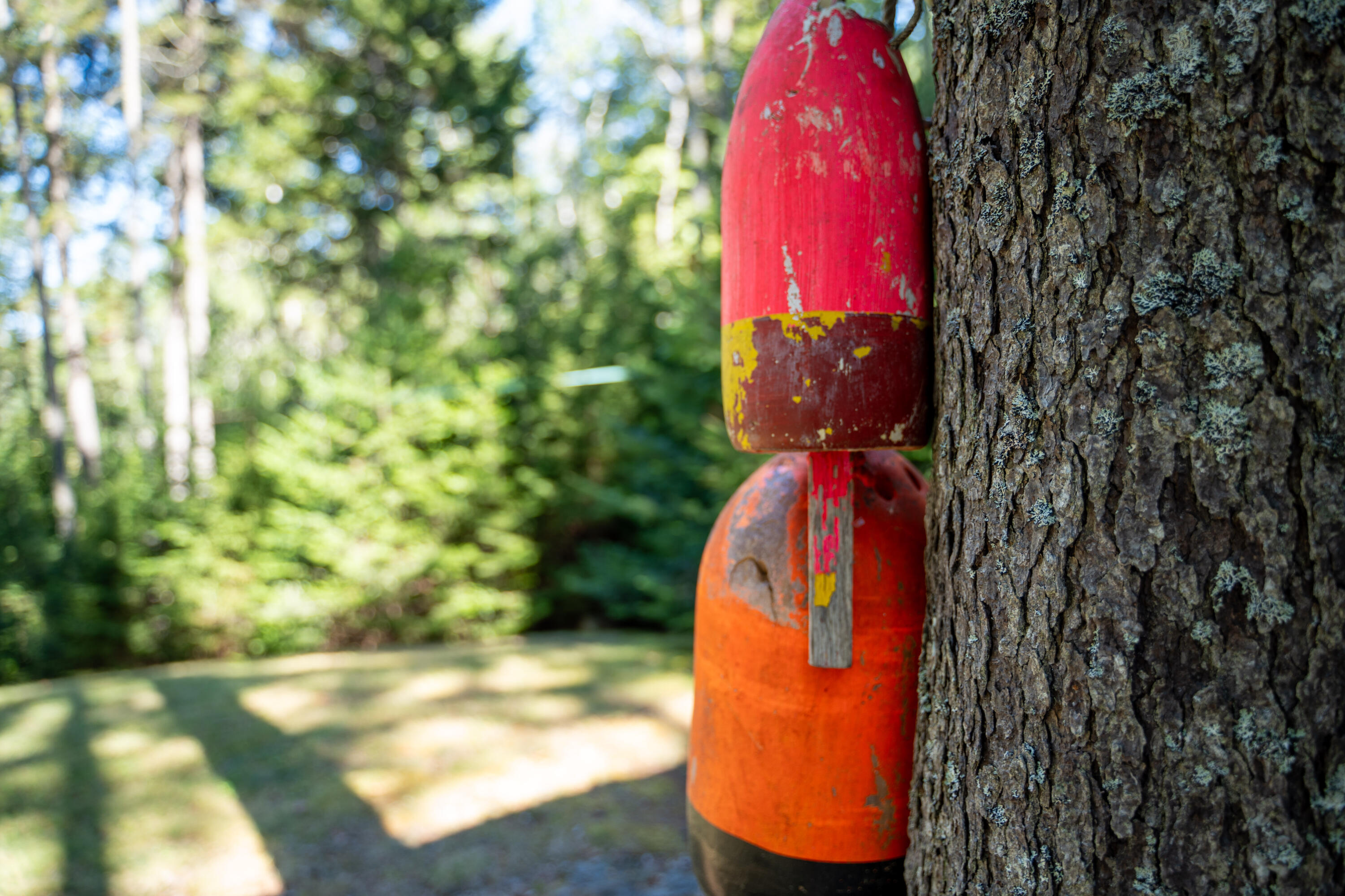 45 Missy Way Steuben, ME 04680 - Photo 51 of 64 DSC00394