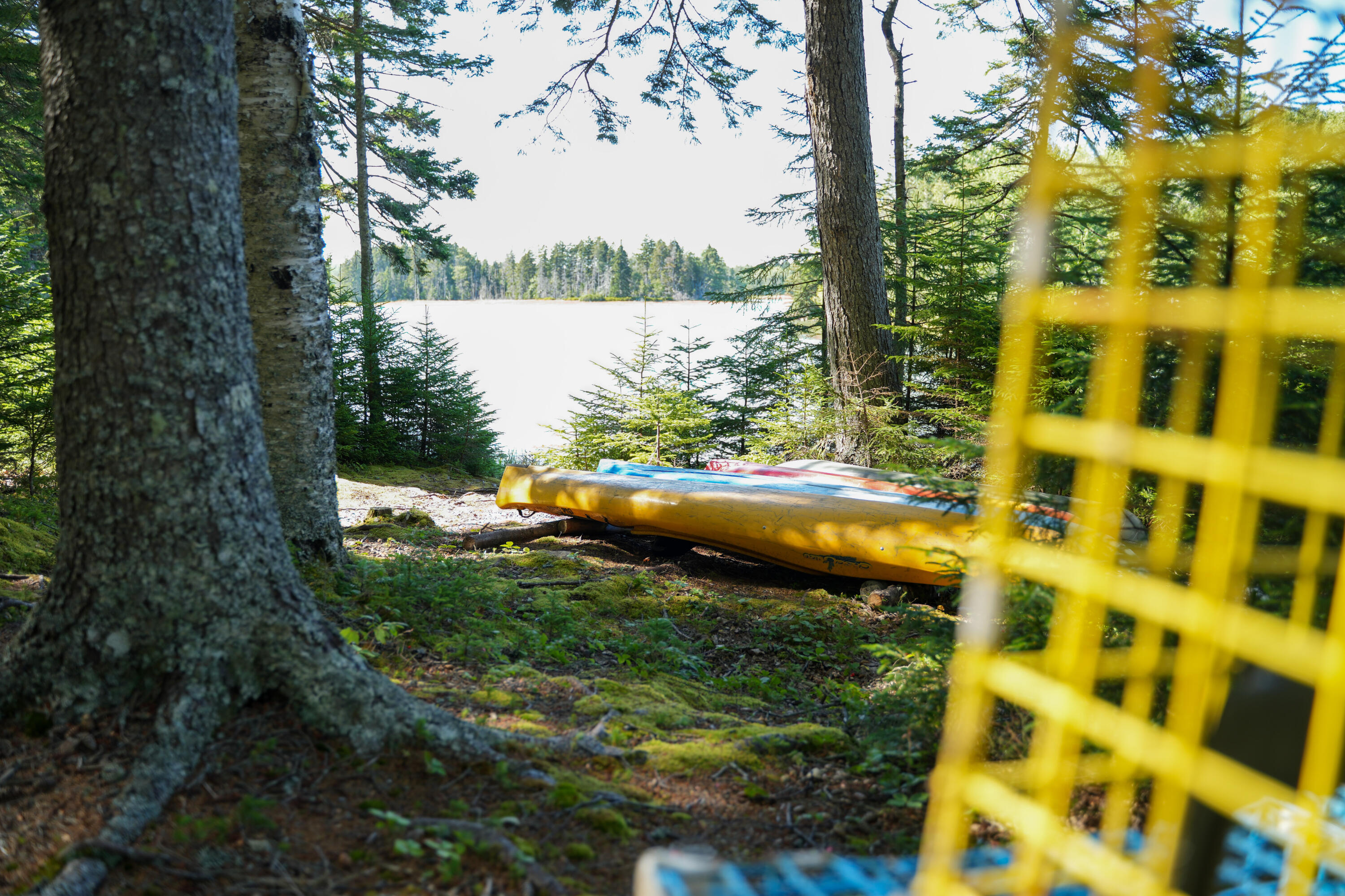 45 Missy Way Steuben, ME 04680 - Photo 53 of 64 DSC00400