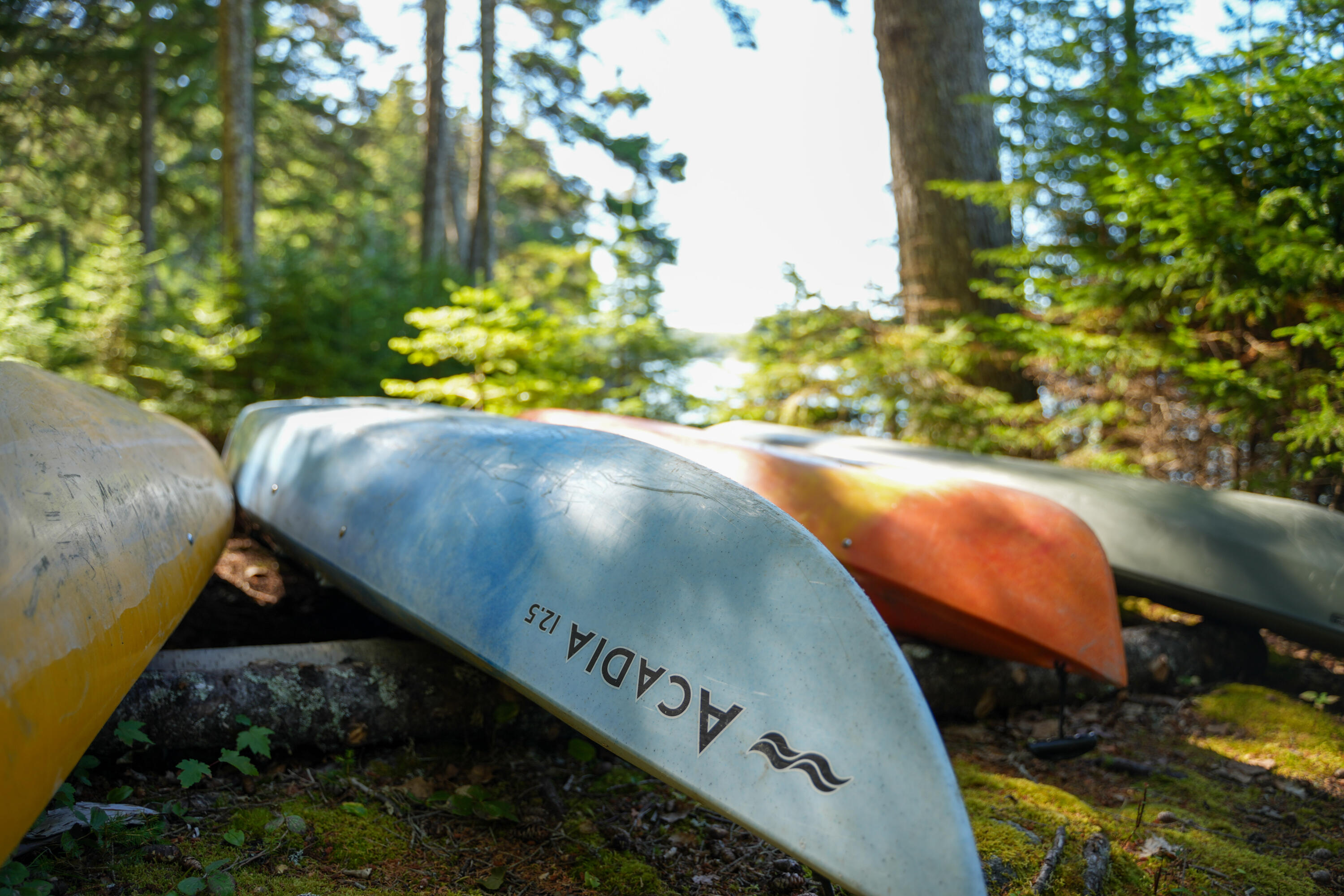 45 Missy Way Steuben, ME 04680 - Photo 54 of 64 DSC00405