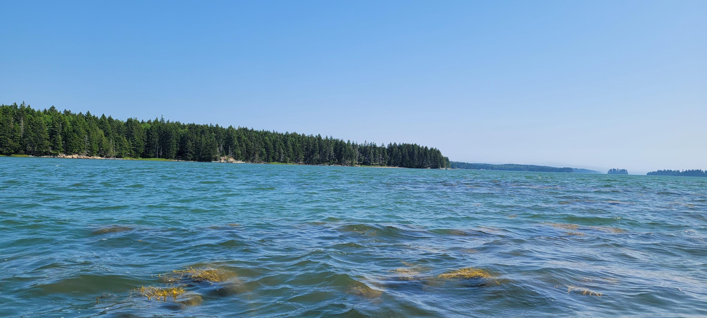 45 Missy Way Steuben, ME 04680 - Photo 61 of 64 20250716_151040