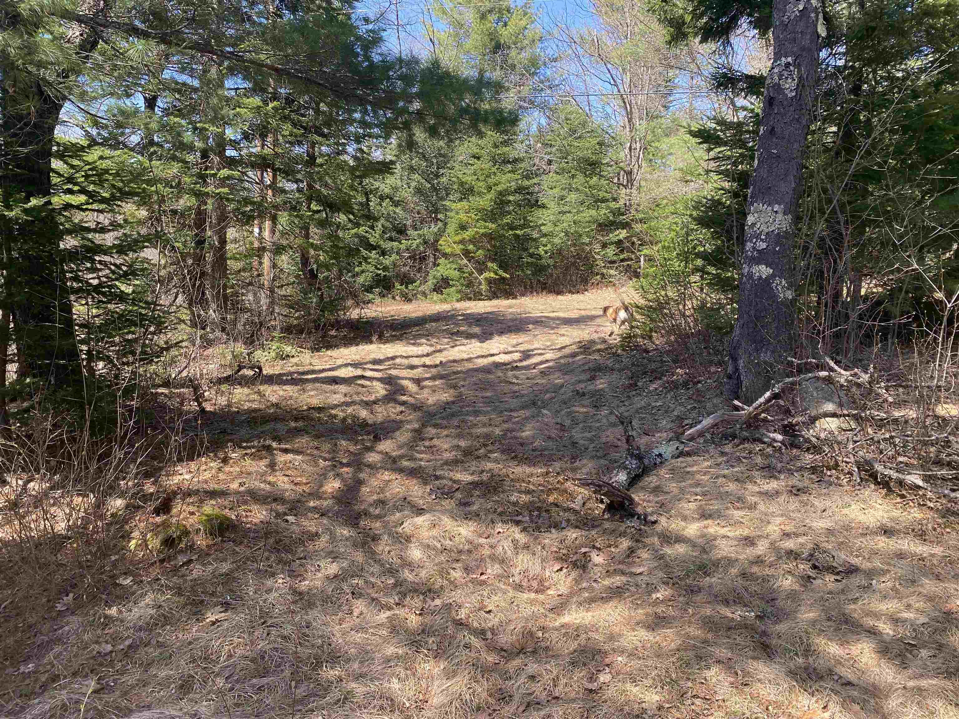 725 Green River Road Halifax, VT 05301 - Photo 3 of 12