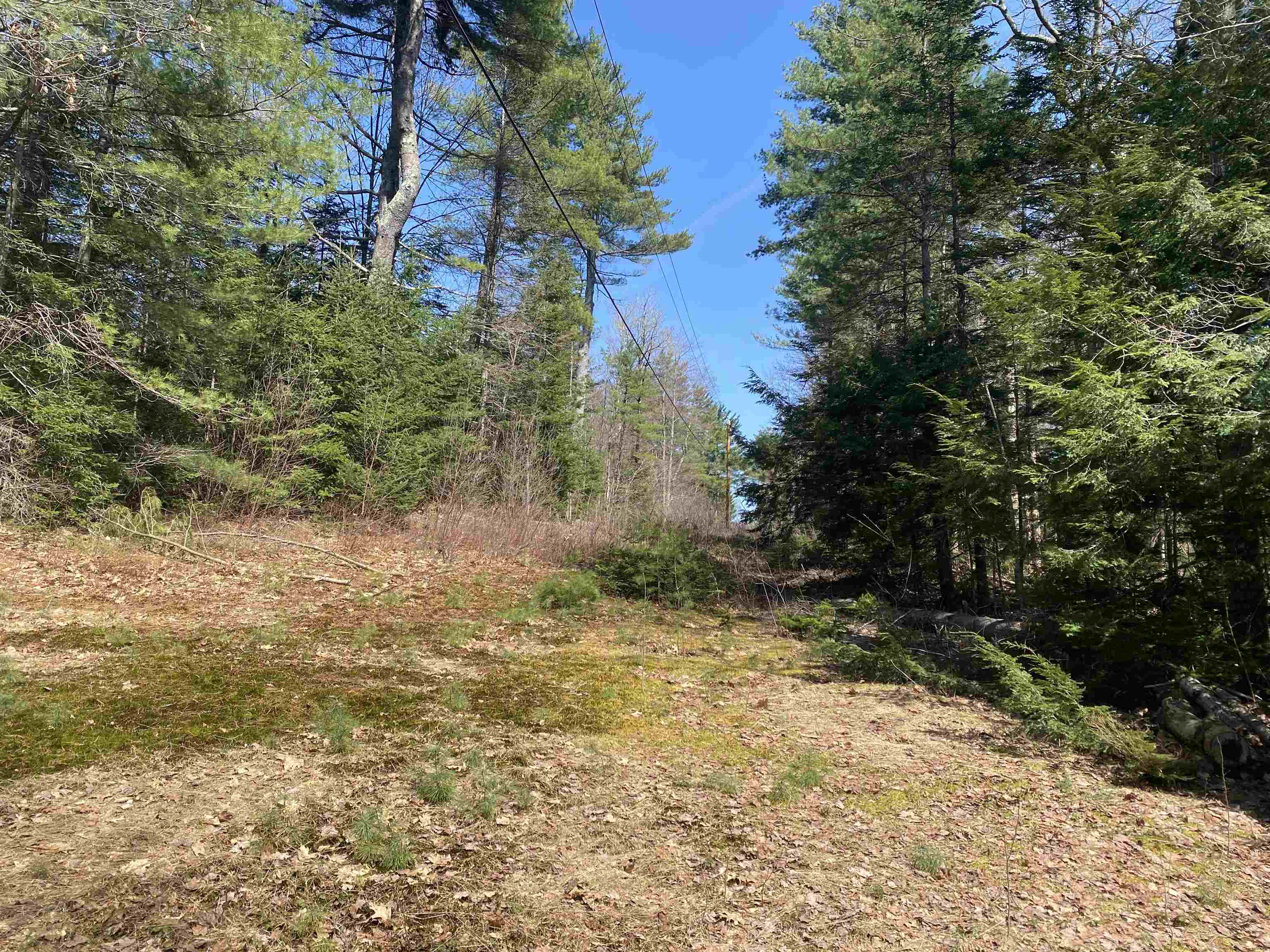 725 Green River Road Halifax, VT 05301 - Photo 7 of 12