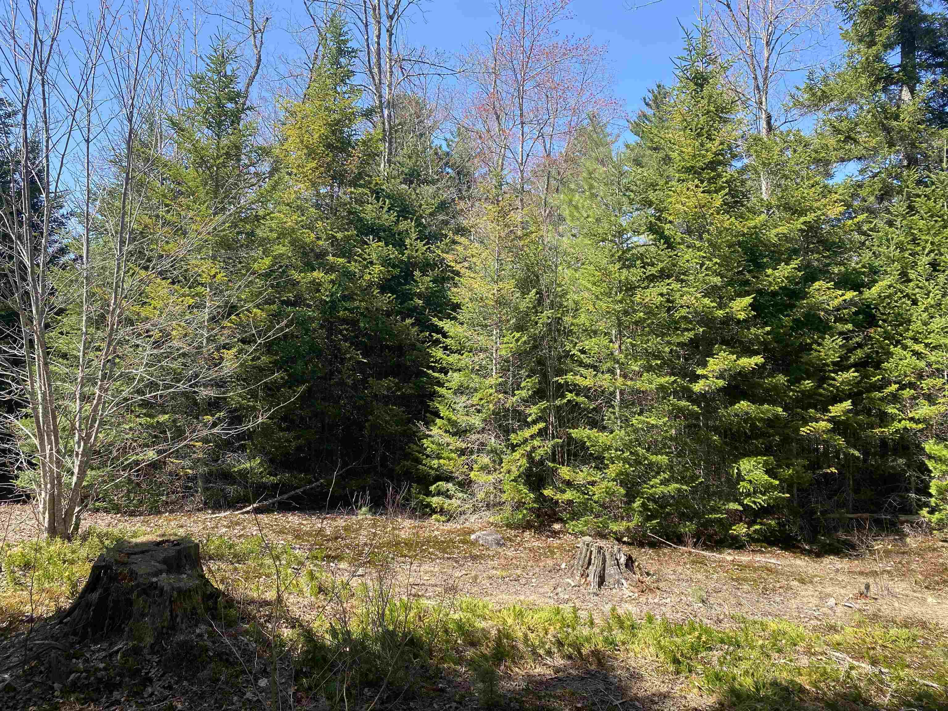 725 Green River Road Halifax, VT 05301 - Photo 8 of 12