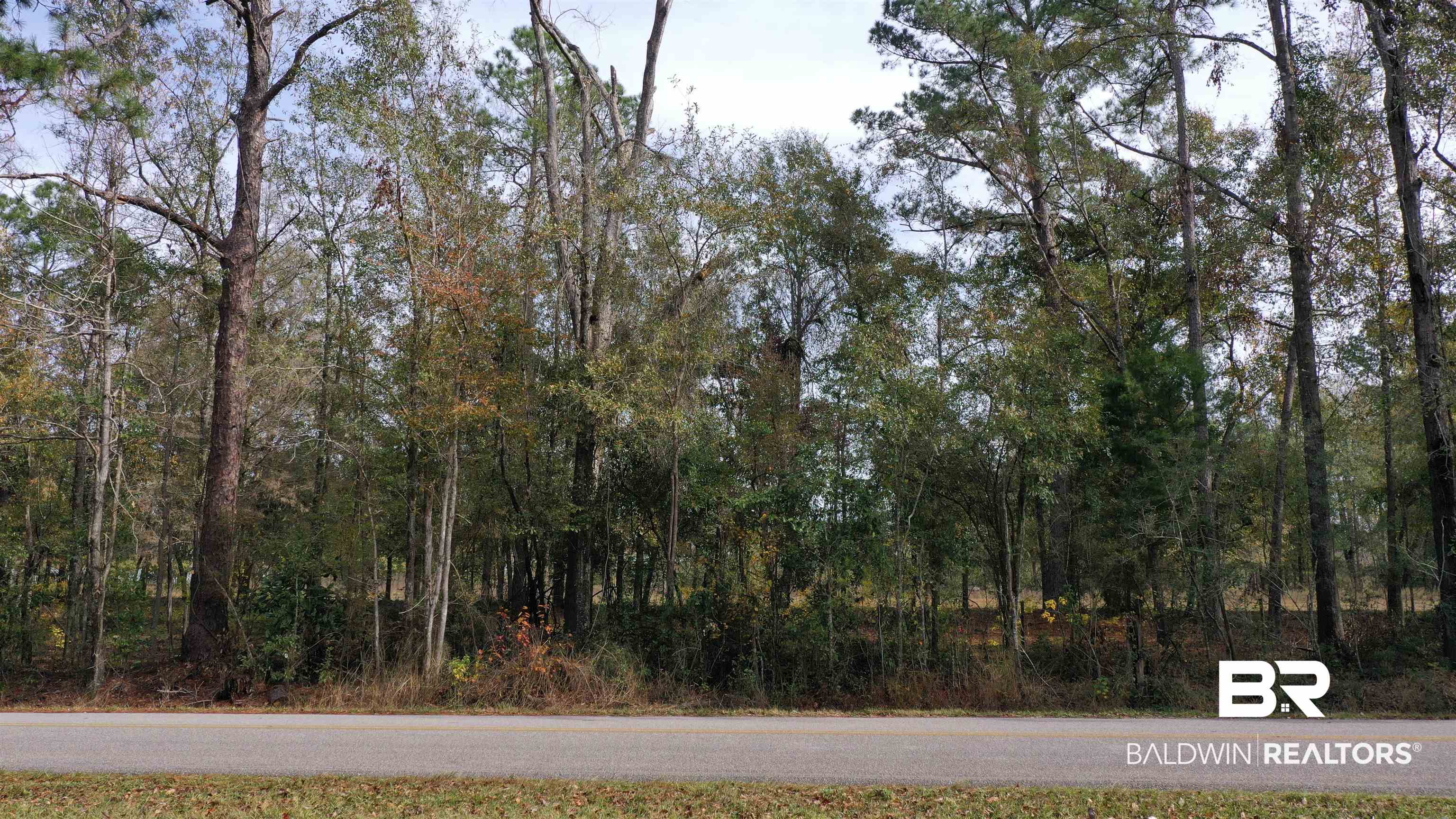 0 Rockhill Road Bay Minette, AL 36507 - Photo 14 of 32