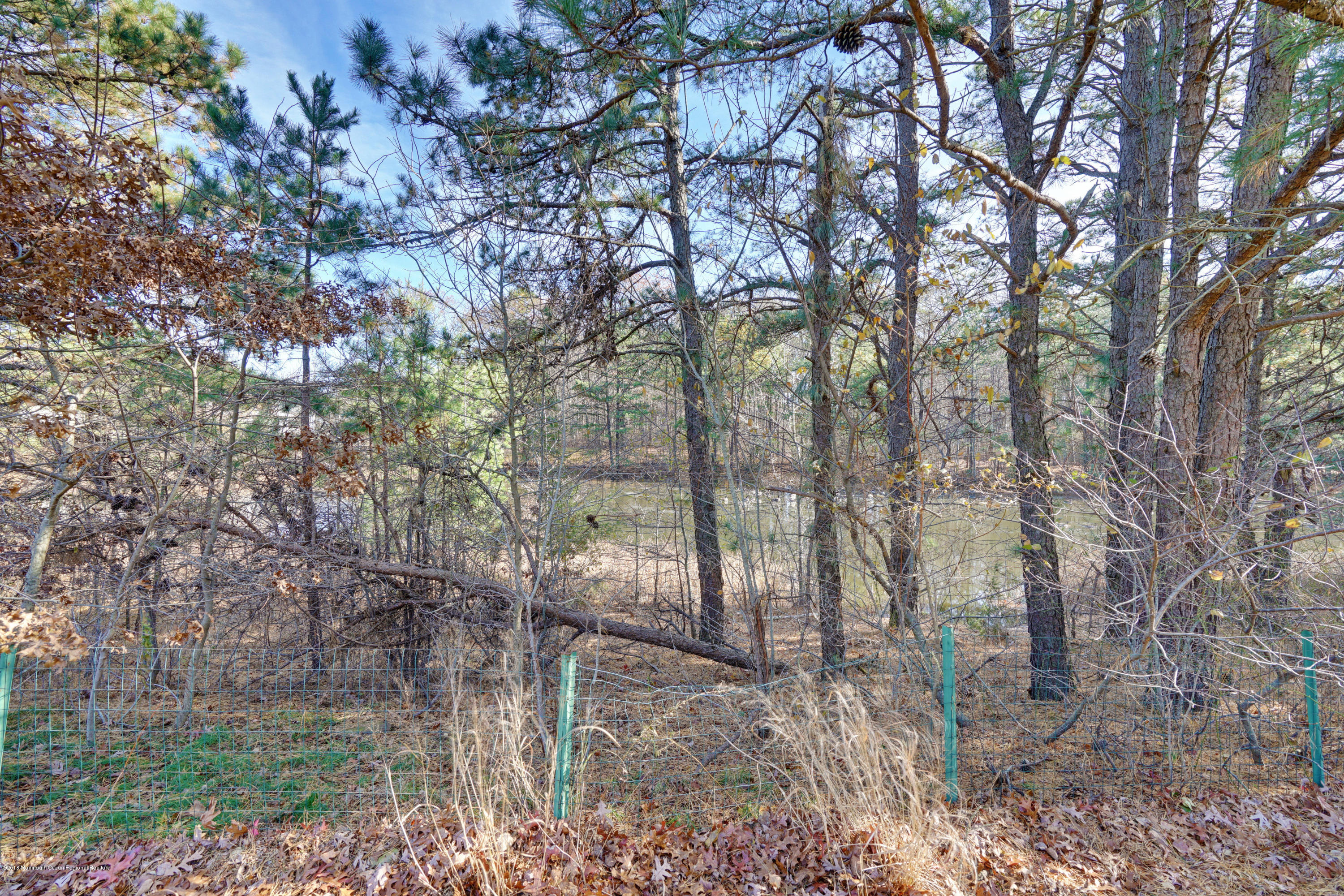 27 Blue Ridge Drive Brick, NJ 08724 - Photo 9 of 24 015_dsc02811-dsc02815