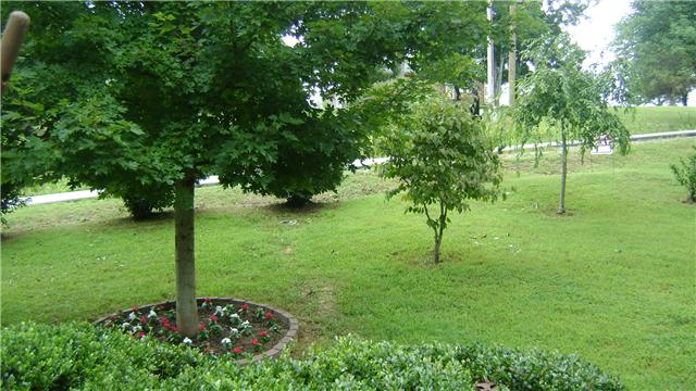 7722 Chester Road Fairview, TN 37062 - Photo 6 of 12