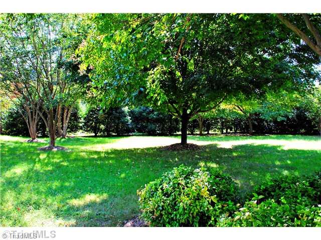 1608 Slane Road Clemmons, NC 27012 - Photo 15 of 16 Yard/Garden.