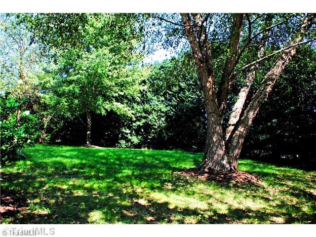 1608 Slane Road Clemmons, NC 27012 - Photo 16 of 16 Yard/Garden.