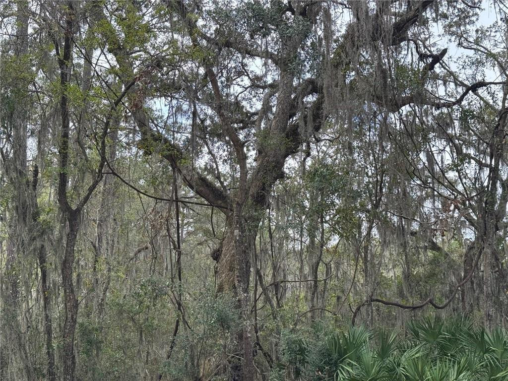6001 Frederica Road St. Simons Island, GA 31522 - Photo 5 of 12
