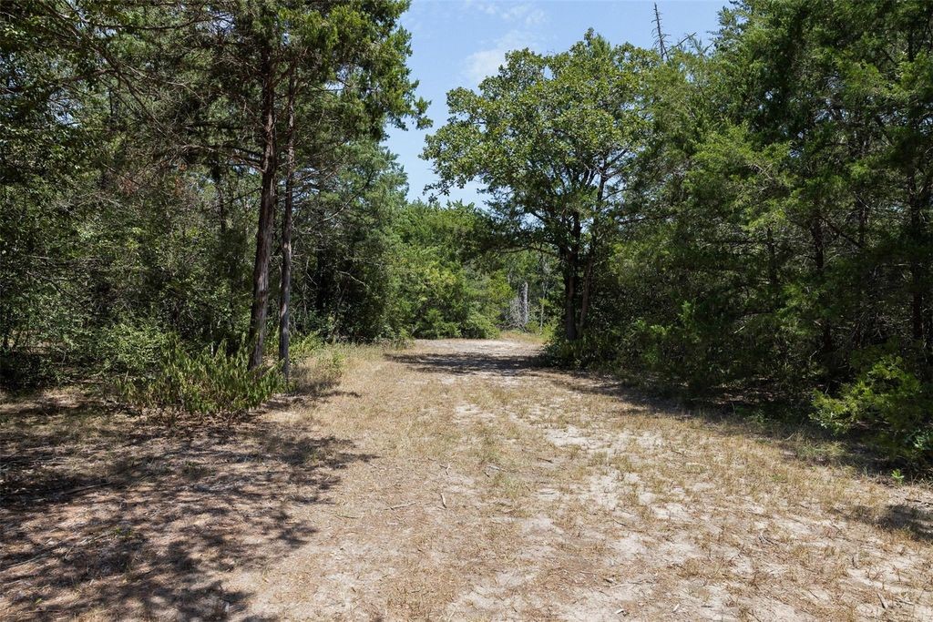 10791 Roy Road Flatonia, TX 78941 - Photo 13 of 29 Gallery Image 13