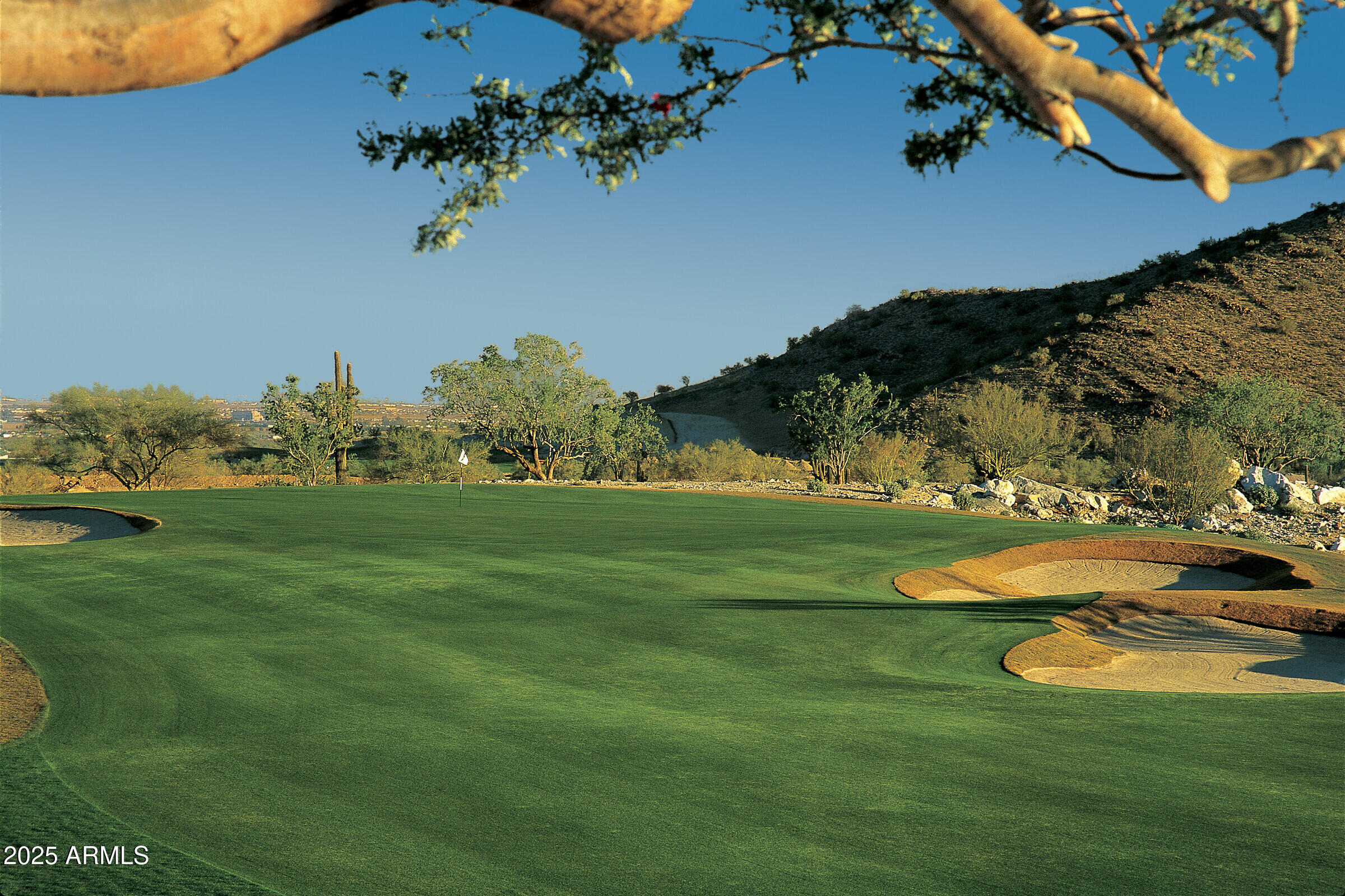 20307 West Roma Avenue Buckeye, AZ 85396 - Photo 44 of 48 a view of a backyard with table and chairs under an umbrella