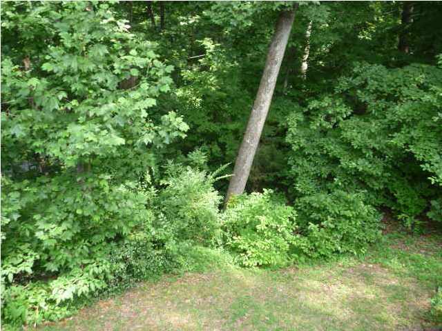 1132 Shady Fork Road Chattanooga, TN 37421 - Photo 3 of 9 Additional Photo