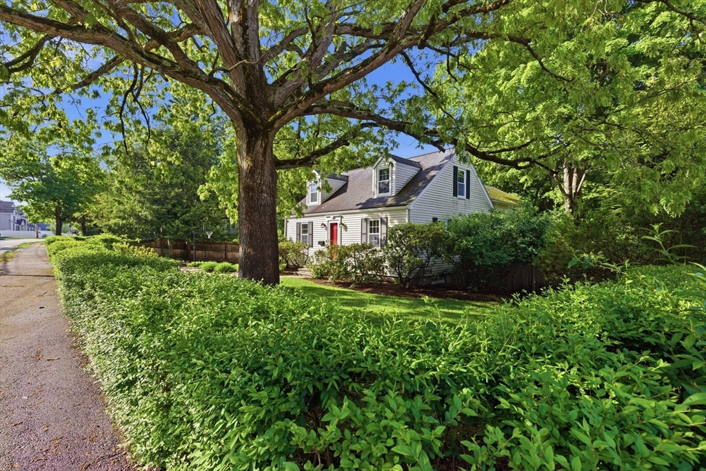 213 Hunnewell Street Needham, MA 02494 - Photo 2 of 41