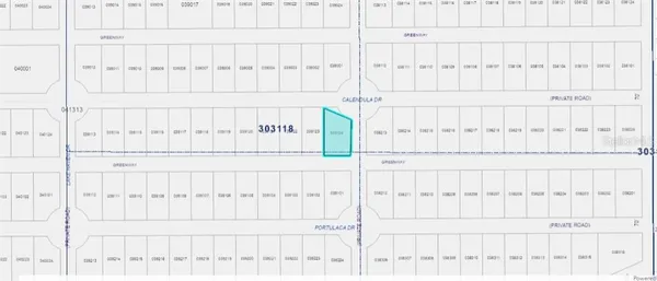 $40,000 | 501 Calendula Drive, Indian Lake Estates, FL 33843