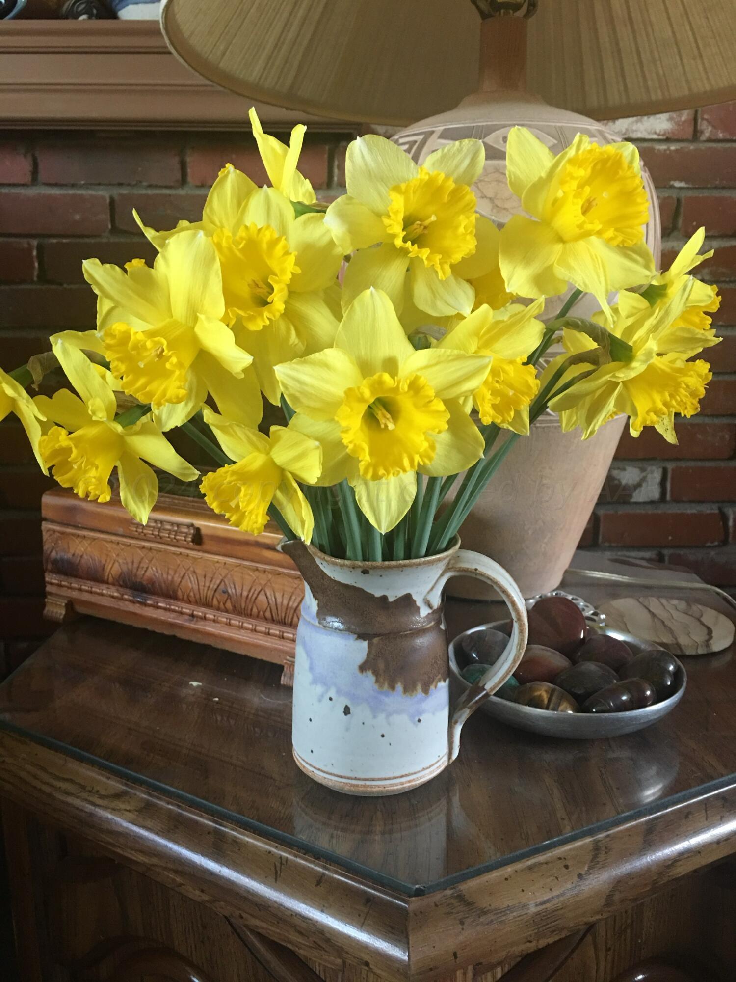 3415 Paramount Boulevard Amarillo, TX 79109 - Photo 33 of 44 a vase of flowers sitting on a table