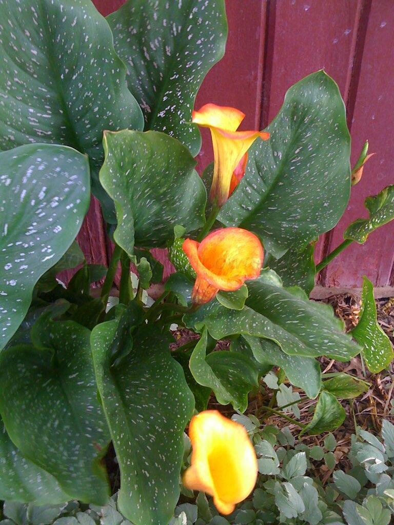 3415 Paramount Boulevard Amarillo, TX 79109 - Photo 34 of 44 an aerial view of a house