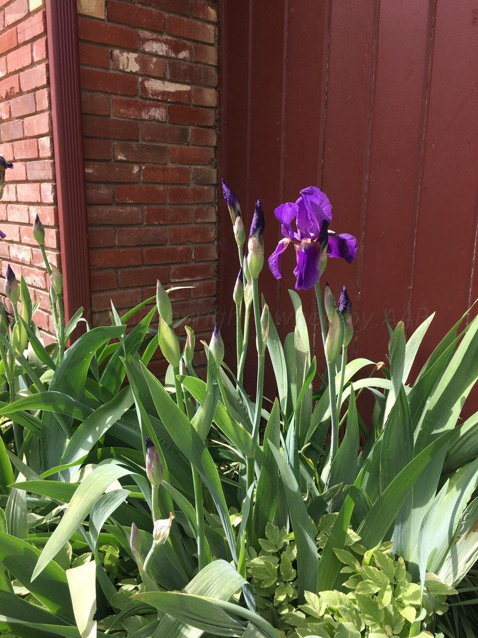 3415 Paramount Boulevard Amarillo, TX 79109 - Photo 35 of 44