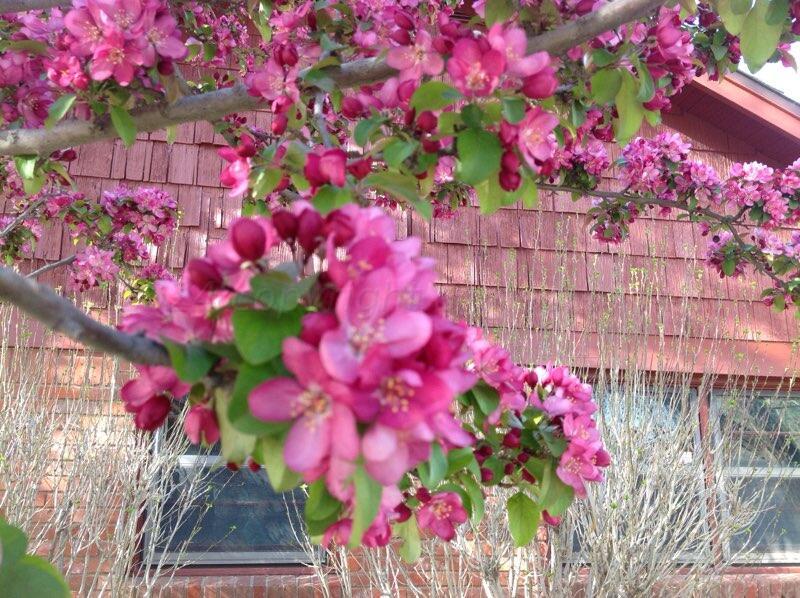 3415 Paramount Boulevard Amarillo, TX 79109 - Photo 39 of 44