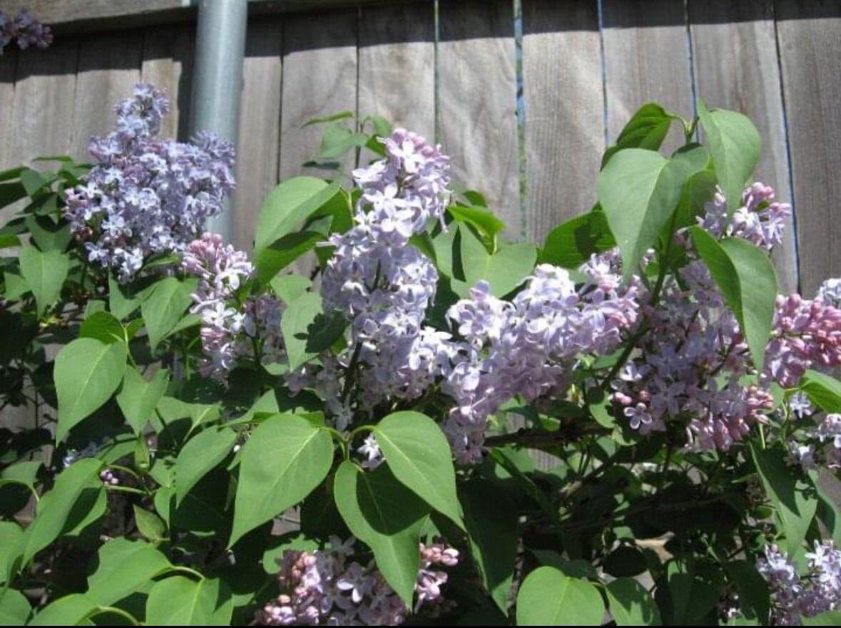 3415 Paramount Boulevard Amarillo, TX 79109 - Photo 42 of 44