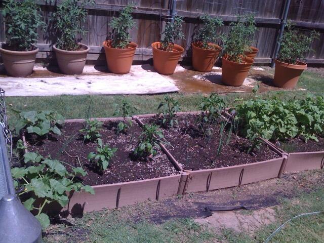 3415 Paramount Boulevard Amarillo, TX 79109 - Photo 43 of 44 a view of a backyard with plants and outdoor seating