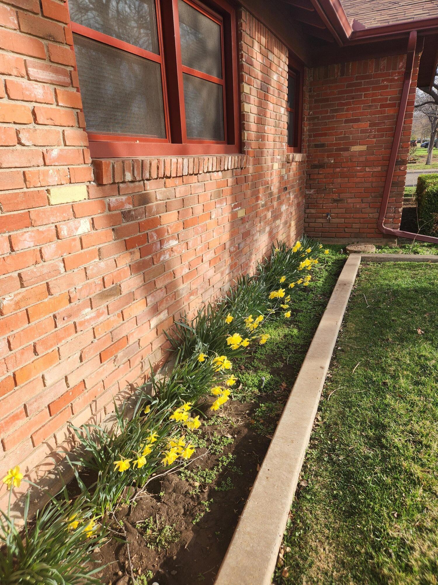 3415 Paramount Boulevard Amarillo, TX 79109 - Photo 8 of 44 a view of a backyard with pathway