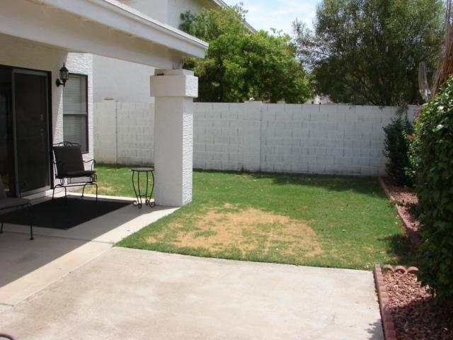 3321 East Clark Road Phoenix, AZ 85050 - Photo 6 of 6 Backyard