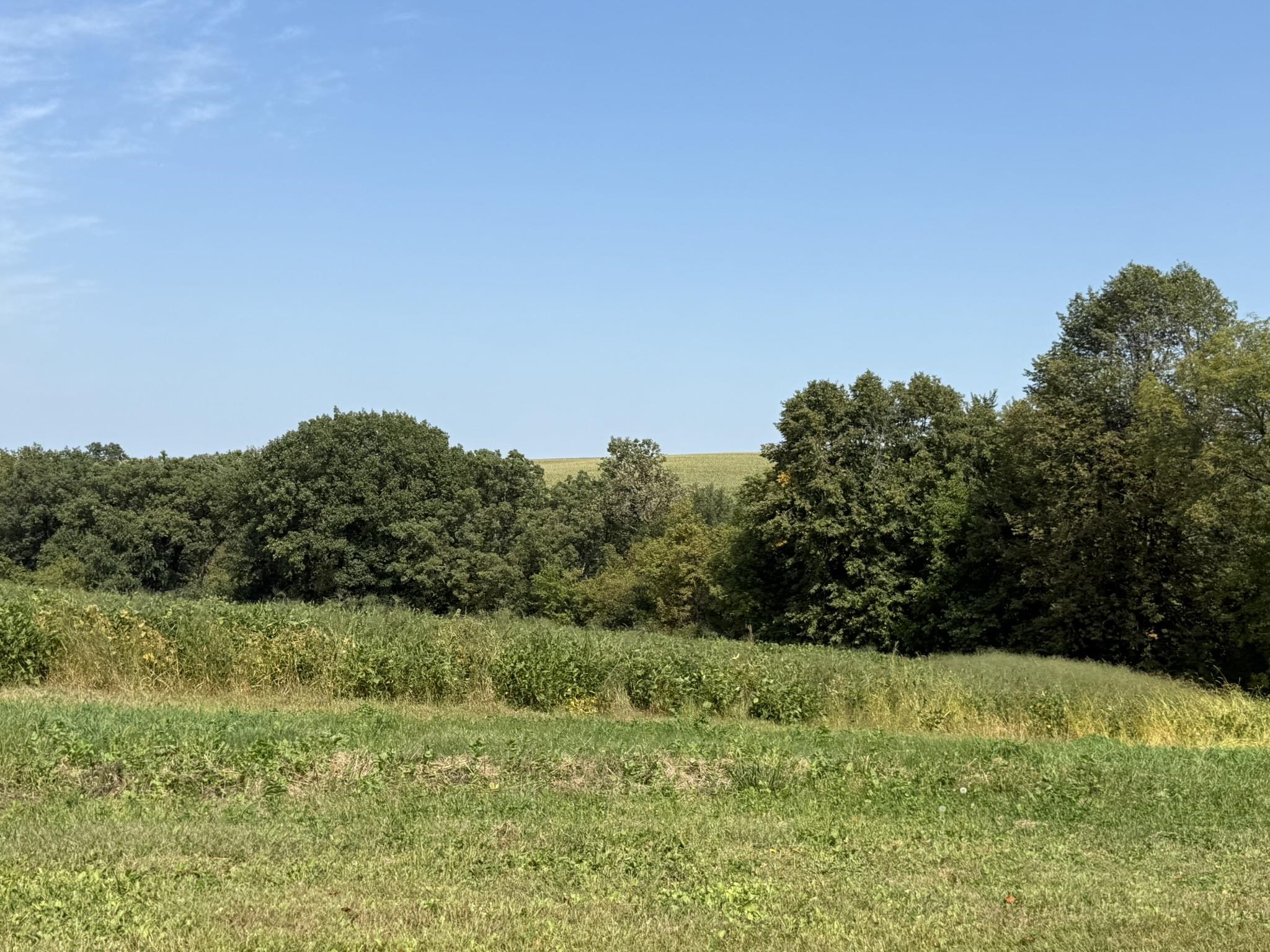 1 Murphy Road Mineral Point, WI 53565 - Photo 7 of 10