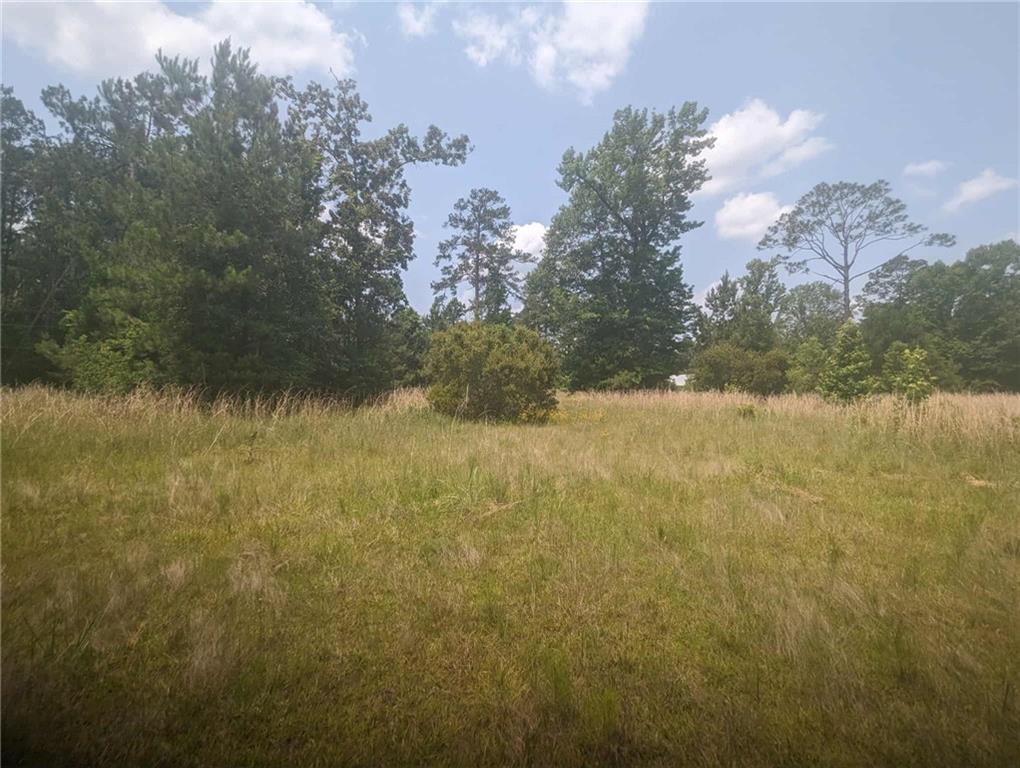83582 Holliday Road Folsom, LA 70437 - Photo 2 of 4