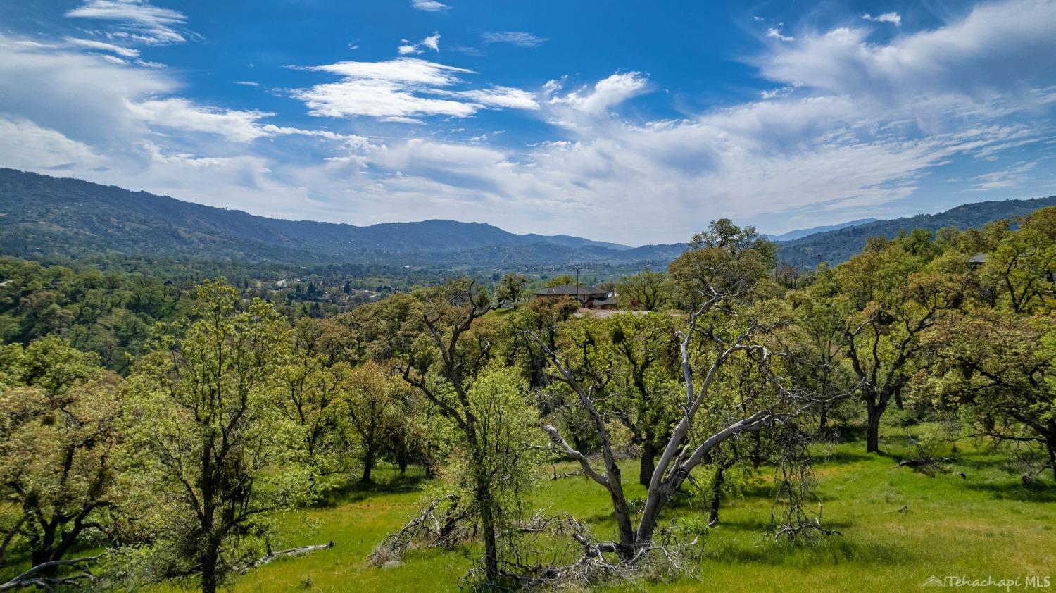 0 Timberline Way Tehachapi, CA 93561 - Photo 9 of 15 Gallery Image 9