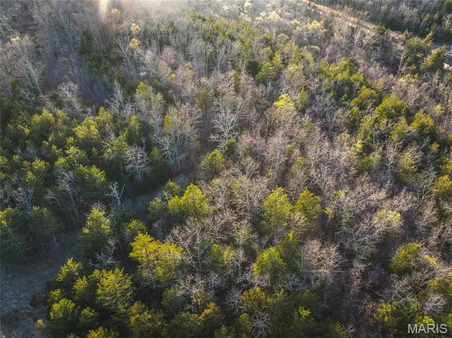 $24,900 | 0 Sargent Road, Cabool, MO 65689