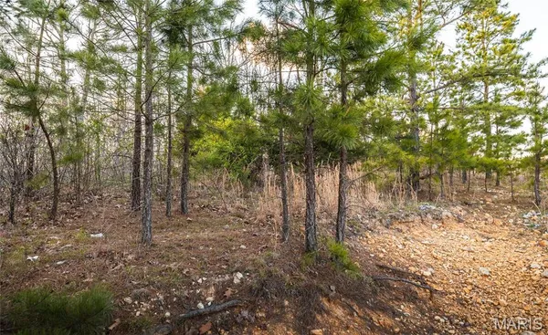 $23,900 | 0 Sargent Road, Cabool, MO 65689