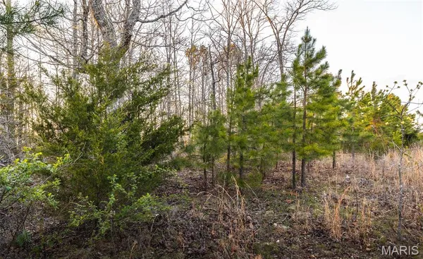 $23,900 | 0 Sargent Road, Cabool, MO 65689