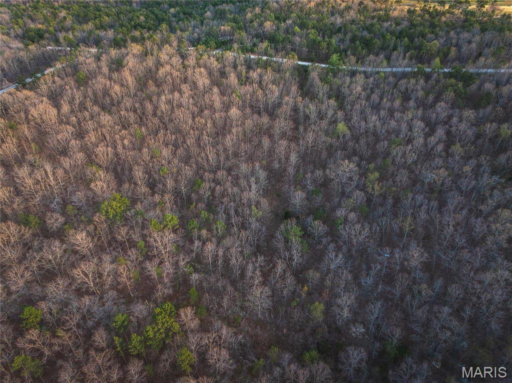 0 Sargent Road Cabool, MO 65689 - Photo 20 of 35