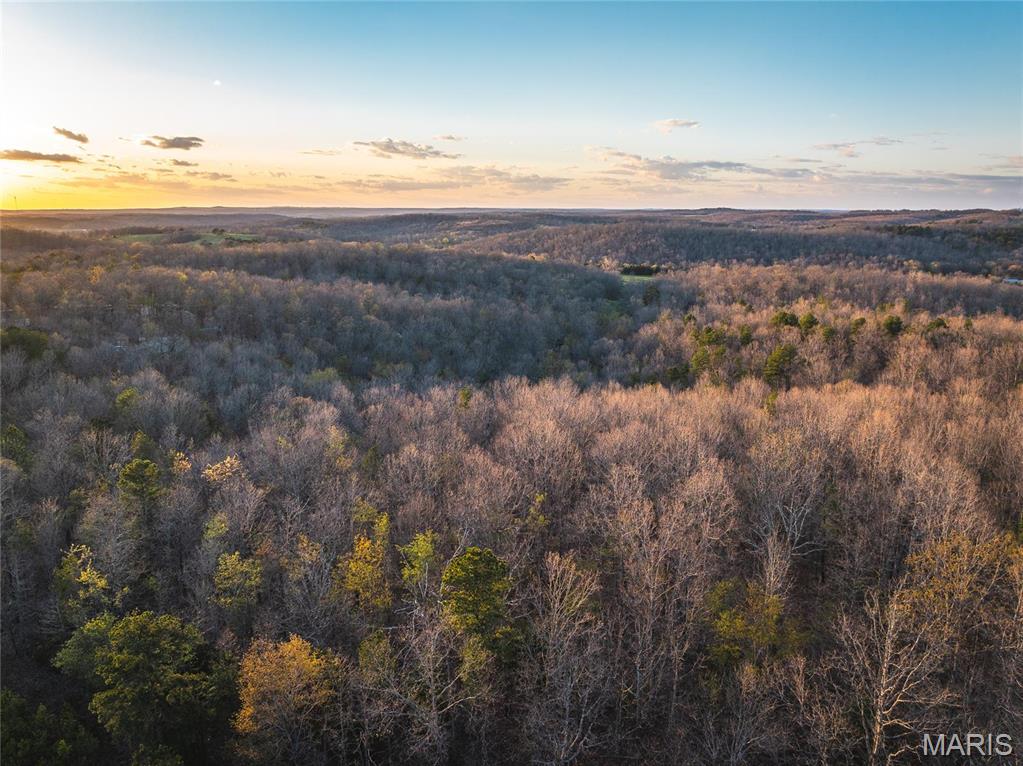 0 Sargent Road Cabool, MO 65689 - Photo 24 of 35
