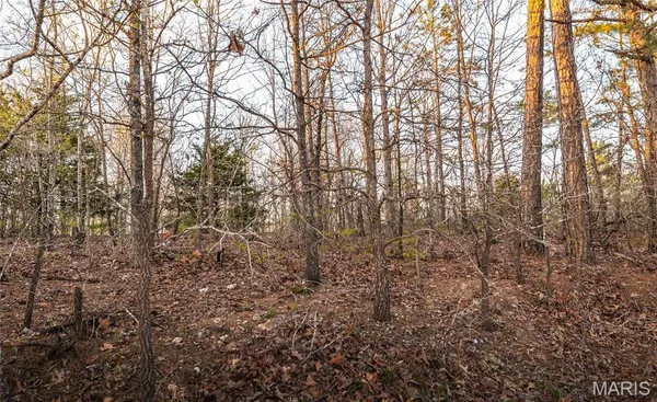 $23,900 | 0 Sargent Road, Cabool, MO 65689