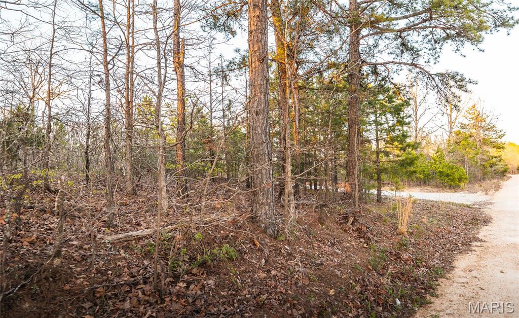 0 Sargent Road Cabool, MO 65689 - Photo 26 of 35