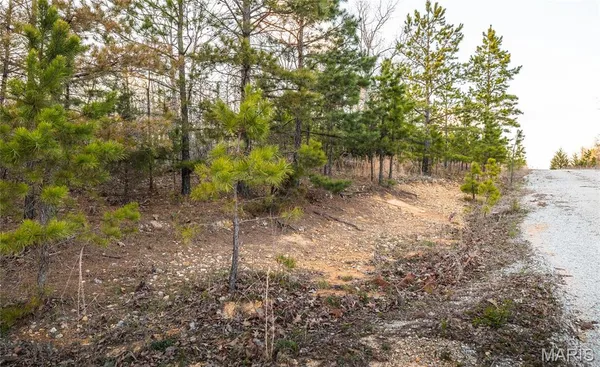 $23,900 | 0 Sargent Road, Cabool, MO 65689
