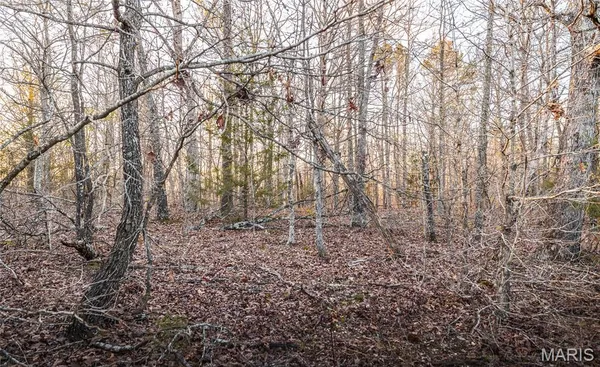 $23,900 | 0 Sargent Road, Cabool, MO 65689