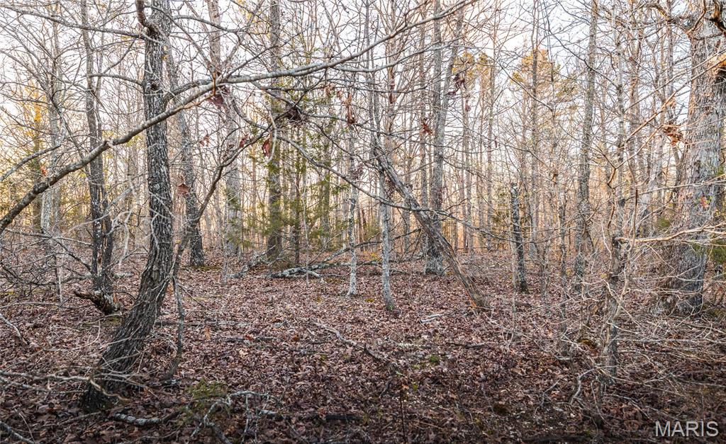 0 Sargent Road Cabool, MO 65689 - Photo 28 of 35