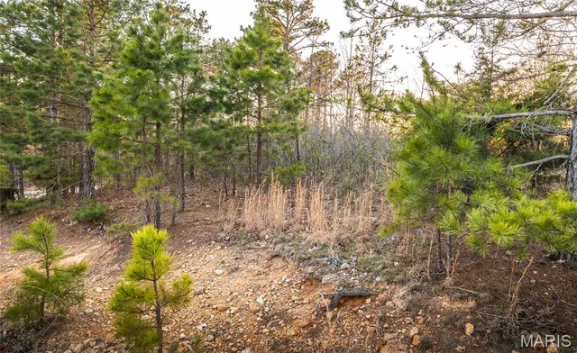 $24,900 | 0 Sargent Road, Cabool, MO 65689