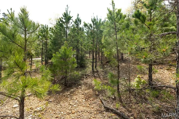 $23,900 | 0 Sargent Road, Cabool, MO 65689