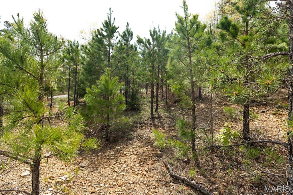 0 Sargent Road Cabool, MO 65689 - Photo 31 of 35